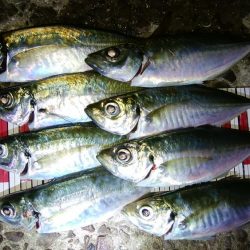 流れの中を漂わせて